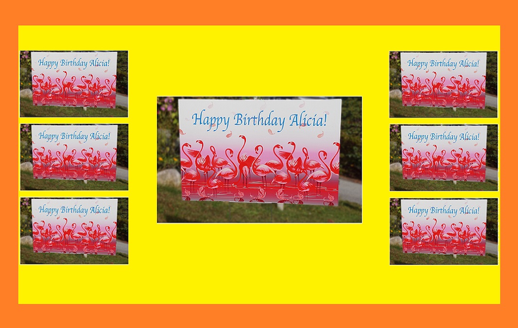 birthday lawn signs